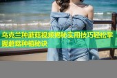 乌克兰种蘑菇视频揭秘实用技巧轻松掌握蘑菇种植秘诀