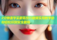 2分钟速学采蘑菇技巧视频实用教学助你轻松识别安全蘑菇