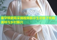 塞罕坝蘑菇采摘视频展示生态林下珍稀美味与乡村振兴
