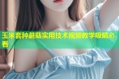 玉米套种蘑菇实用技术视频教学吸睛必看