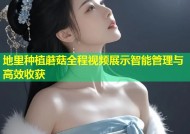 地里种植蘑菇全程视频展示智能管理与高效收获
