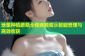 地里种植蘑菇全程视频展示智能管理与高效收获