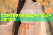 家庭野生蘑菇种植视频教学平台轻松学会实用技巧