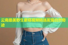 云南最美野生蘑菇视频精选发现自然奇迹