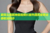蘑菇头最新神曲视频抖音热播高音质动感歌词同步
