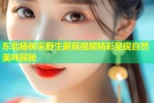 东北杨树采野生蘑菇视频精彩呈现自然美味探秘