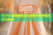CCTV7养殖蘑菇实用视频详解种植技巧与管理