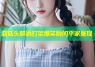 蘑菇头醉酒打架爆笑瞬间平家呈现