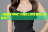 大棚蘑菇养殖技术视频实操详解助力高效增产
