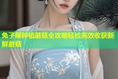 兔子屎种植蘑菇全攻略轻松高效收获新鲜蘑菇