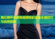 商丘野外采蘑菇视频精彩呈现采摘技巧与自然探秘