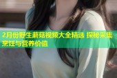 2月份野生蘑菇视频大全精选 探秘采集烹饪与营养价值