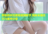 原始森林捡蘑菇视频教学 探秘采摘技巧与美味分享