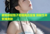 蘑菇喷射孢子奇观高清呈现 探秘生命繁殖奥秘
