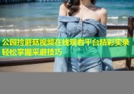 公园捡蘑菇视频在线观看平台精彩实录轻松掌握采蘑技巧