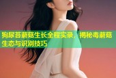 狗尿苔蘑菇生长全程实录，揭秘毒蘑菇生态与识别技巧