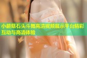 小蘑菇石头斗舞高清视频展示平台精彩互动与高清体验