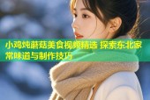 小鸡炖蘑菇美食视频精选 探索东北家常味道与制作技巧