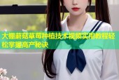 大棚蘑菇草莓种植技术视频实用教程轻松掌握高产秘诀