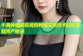 牛粪种植蘑菇视频教程实用技术轻松掌握高产秘诀