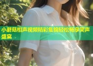 小蘑菇相声视频精彩集锦轻松畅享笑声盛宴