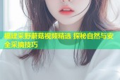 福建采野蘑菇视频精选 探秘自然与安全采摘技巧