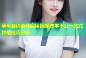 草莓套种蘑菇实用视频教学平台一站式种植技巧分享