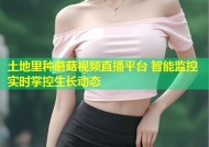 土地里种蘑菇视频直播平台 智能监控实时掌控生长动态