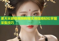 夏天采蘑菇视频教程实用指南轻松掌握采集技巧