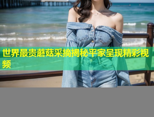 世界最贵蘑菇采摘揭秘平家呈现精彩视频  第1张