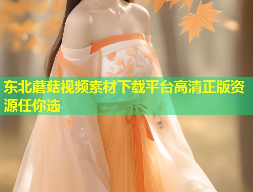 东北蘑菇视频素材下载平台高清正版资源任你选  第1张