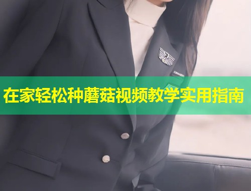 在家轻松种蘑菇视频教学实用指南  第1张