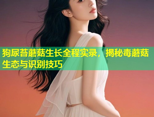 狗尿苔蘑菇生长全程实录，揭秘毒蘑菇生态与识别技巧  第1张