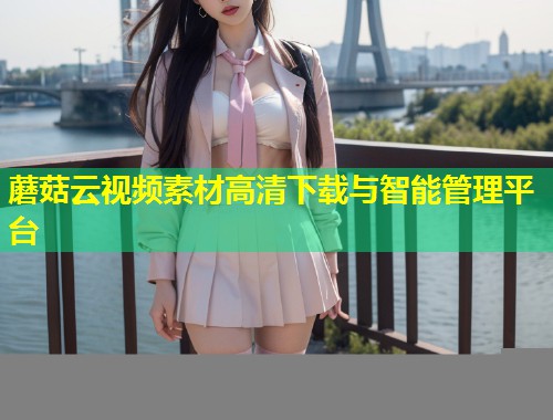 蘑菇云视频素材高清下载与智能管理平台  第1张