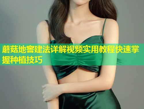 蘑菇地窖建法详解视频实用教程快速掌握种植技巧  第1张