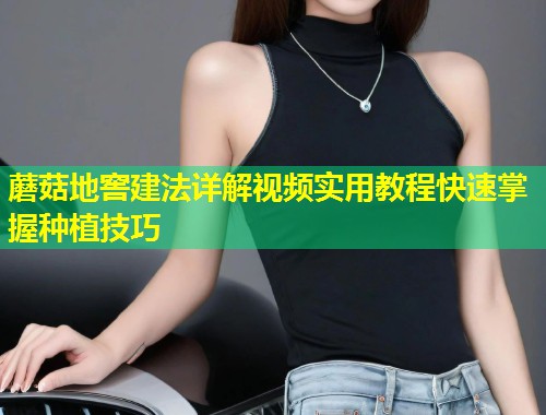 蘑菇地窖建法详解视频实用教程快速掌握种植技巧  第2张