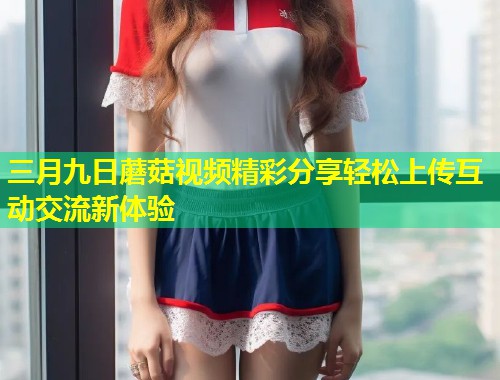 三月九日蘑菇视频精彩分享轻松上传互动交流新体验  第1张