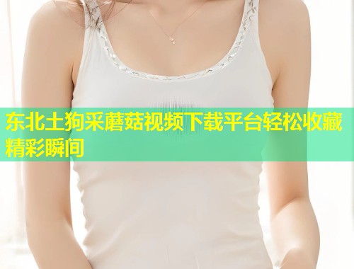 东北土狗采蘑菇视频下载平台轻松收藏精彩瞬间  第2张
