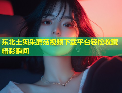 东北土狗采蘑菇视频下载平台轻松收藏精彩瞬间  第1张