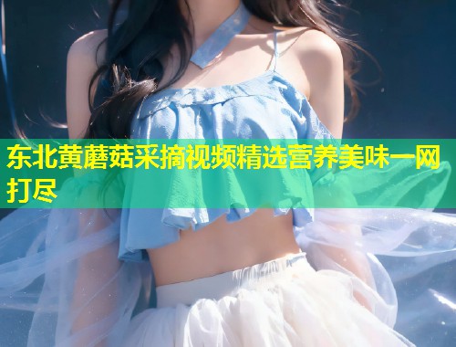 东北黄蘑菇采摘视频精选营养美味一网打尽  第1张