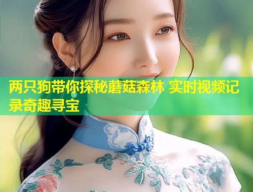 两只狗带你探秘蘑菇森林 实时视频记录奇趣寻宝  第1张