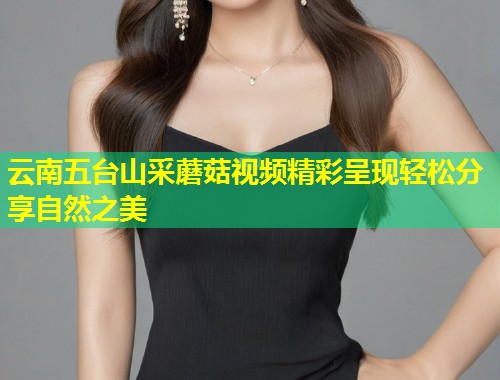 云南五台山采蘑菇视频精彩呈现轻松分享自然之美  第1张