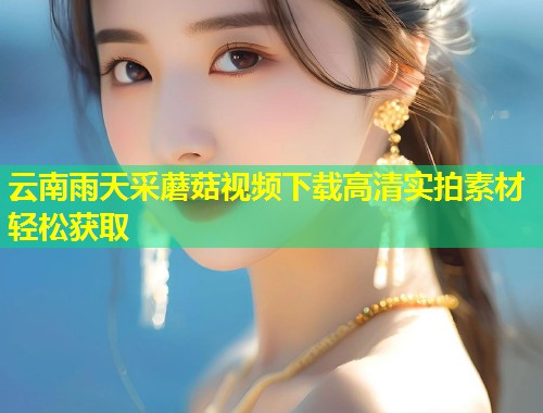 云南雨天采蘑菇视频下载高清实拍素材轻松获取  第1张