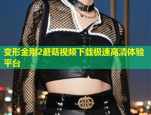 变形金刚2蘑菇视频下载极速高清体验平台  第1张