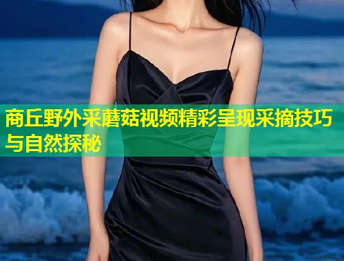 商丘野外采蘑菇视频精彩呈现采摘技巧与自然探秘  第1张