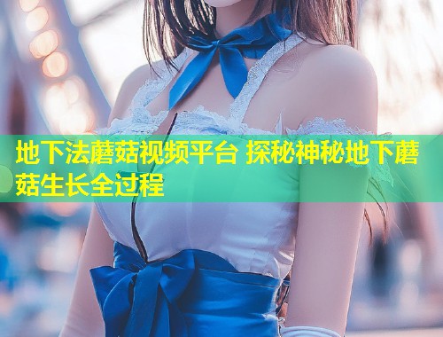 地下法蘑菇视频平台 探秘神秘地下蘑菇生长全过程  第1张