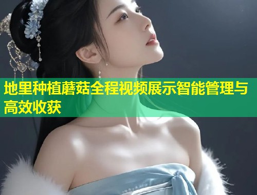 地里种植蘑菇全程视频展示智能管理与高效收获  第1张